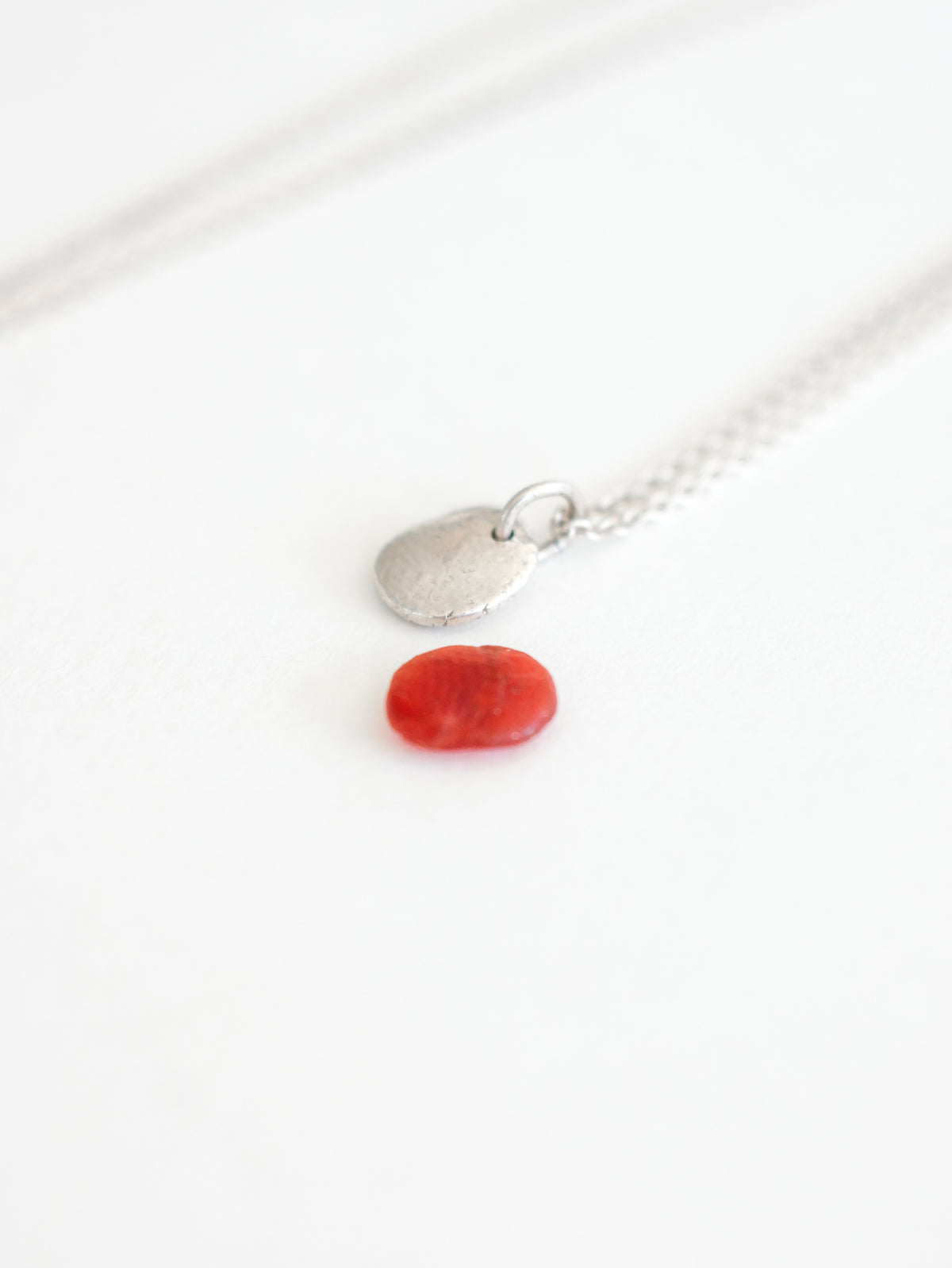 Paw Print Necklace Kit