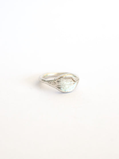 Jewelry for Impression Workshop
