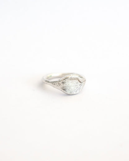 Jewelry for Impression Workshop