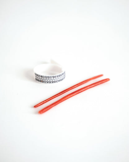 Hose Clamp Impression Kit